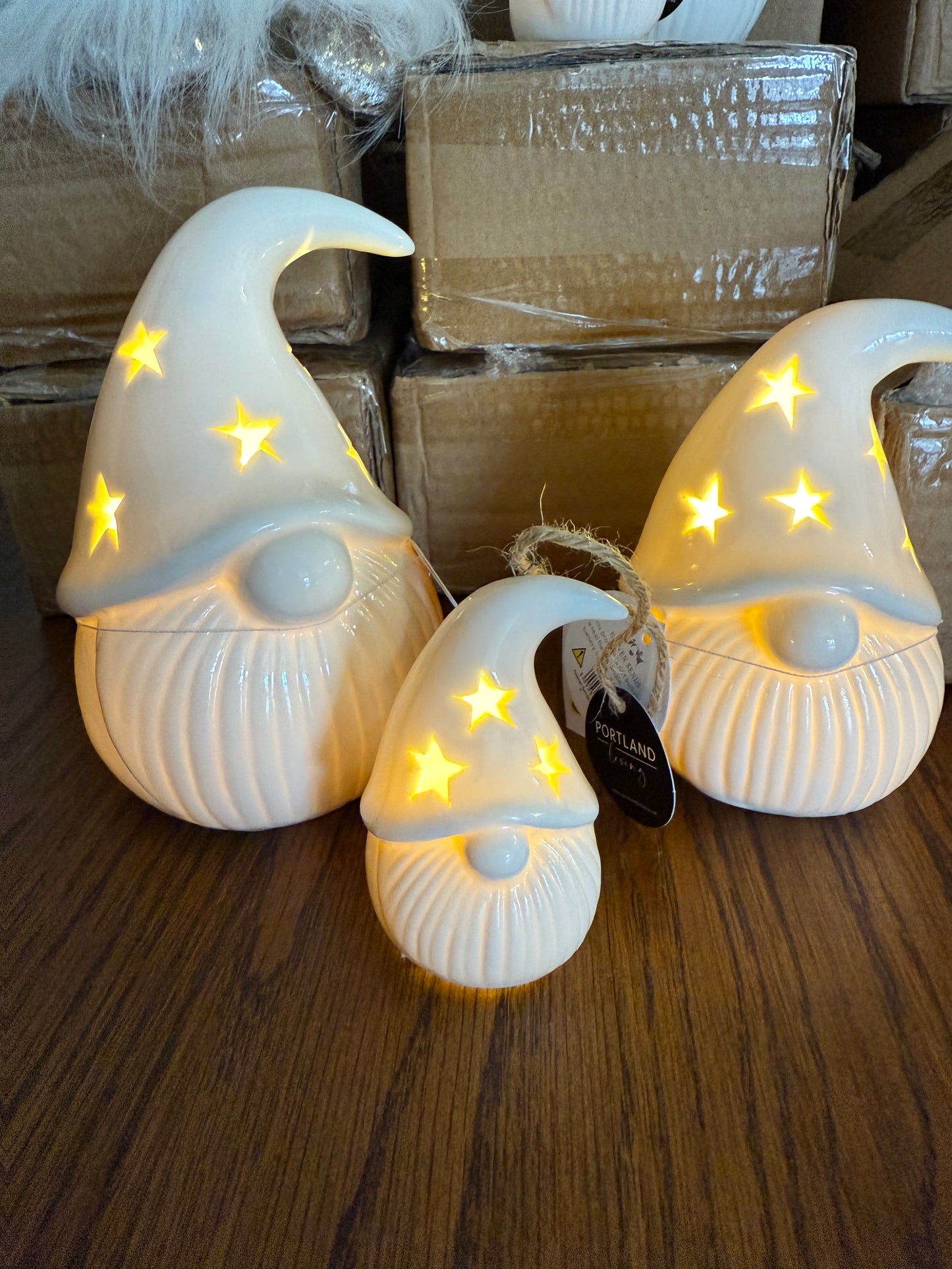 Light Up Christmas Gonks